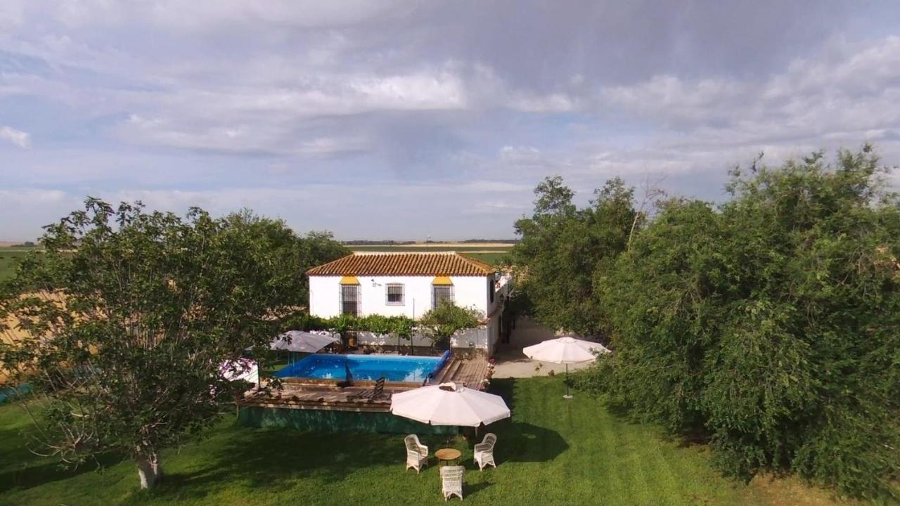 Rancho de encanto, piscina, aeropuerto a 15mn Alcalá de Guadaira Exterior foto
