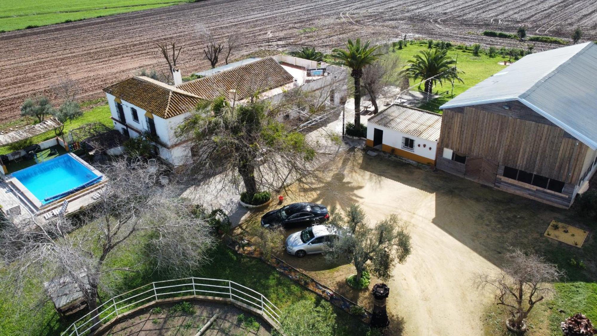 Rancho de encanto, piscina, aeropuerto a 15mn Alcalá de Guadaira Exterior foto