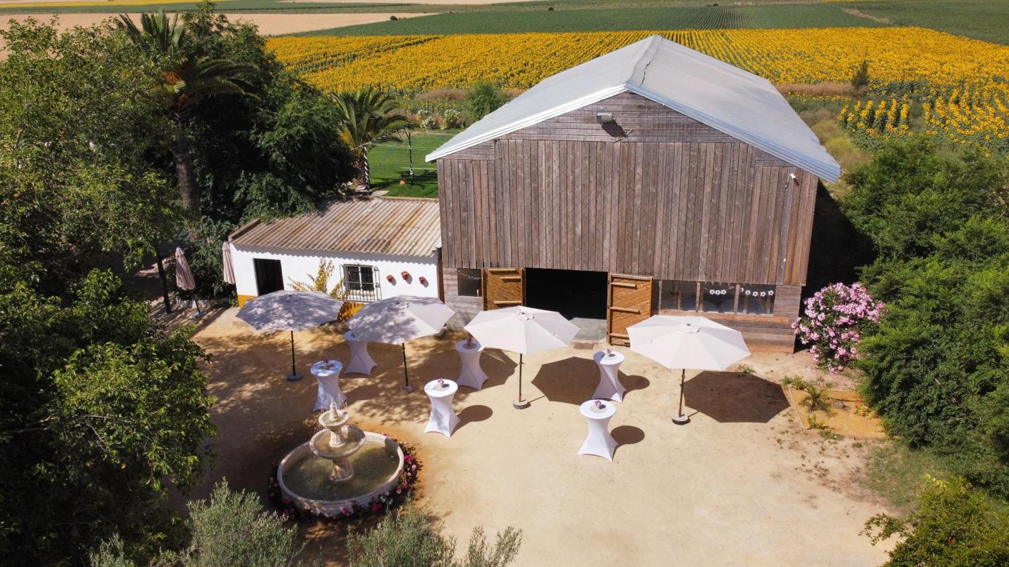 Rancho de encanto, piscina, aeropuerto a 15mn Alcalá de Guadaira Exterior foto